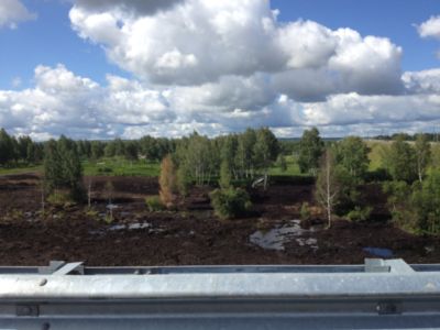 Торф низинный